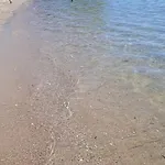 Mediterranean *