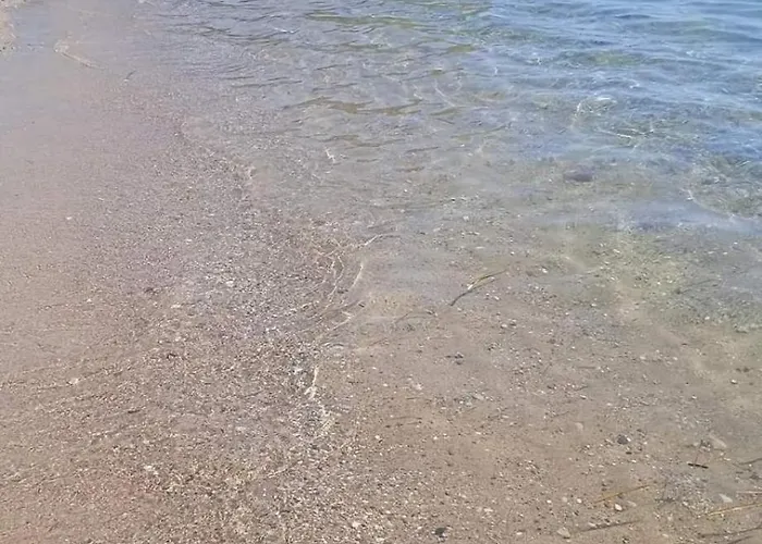 Mediterranean *