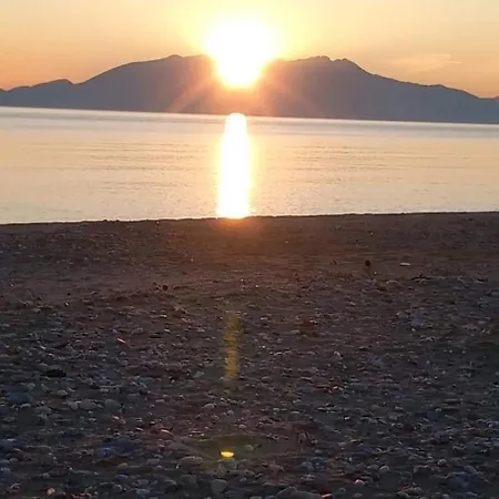 Mediterranean * Vergia