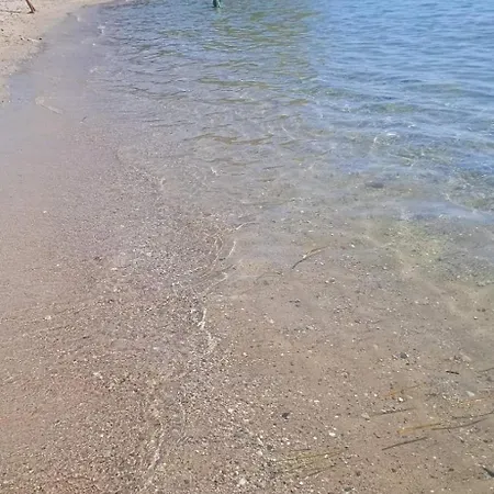 Mediterranean *