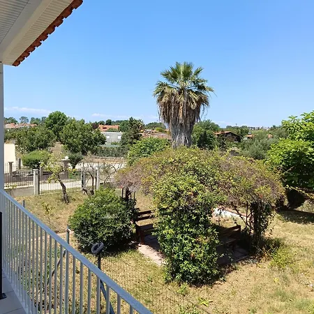 Mediterranean Vergia