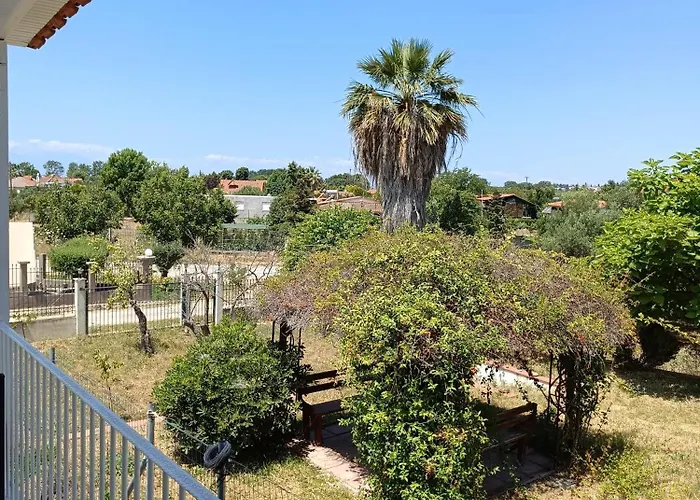 Mediterranean Vergia